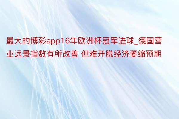 最大的博彩app16年欧洲杯冠军进球_德国营业远景指数有所改善 但难开脱经济萎缩预期